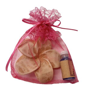 WOODtWpjA}ICZbgNo[XMtgyoEAWAG݃op_CXz