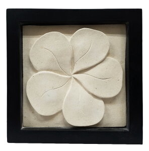 Xg[J[rOVvz25×25@tWpjyoEAWAG݃op_CXz