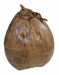 VRWtRRibco A RRibc{E i`  CeA  Lb`[ fBXvC W u yoEAWAG݃op_CXz