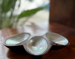 VRVFEbhgC 3^CvVR ؐ Lk p[ L VFM ANZT[gC  CeA G AWA o oG ][g ANZT[u L[P[X 