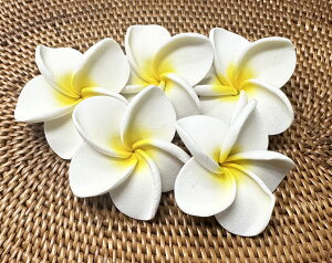 ANX@X|WtWpj@5Zbg5.5cmyoEAWAG݃op_CXz