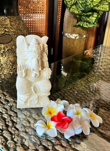 Xg[Kl[V20 20*10*10yoAzXg[J[rO  ΍׍H _l Α Ntg pXXg[ ÊD Β J[rO IuWF u oG AWACeA AWA