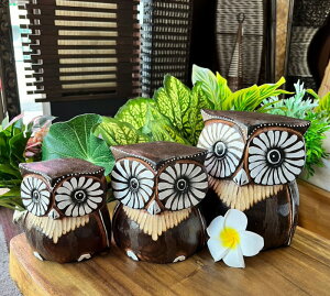 ؐӂ낤L3ZbglbNJbgyoEAWAG݃op_CXz