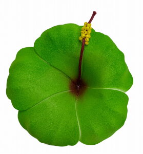 X|WnCrXJXiJ[j7cmyoEAWAG݁@@op_CXz