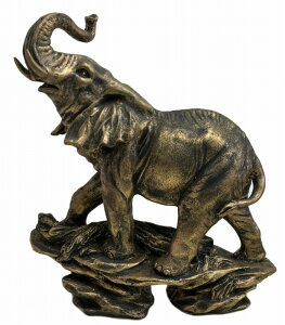 uYS[hہ@tyoEAWAG݃op_CXz