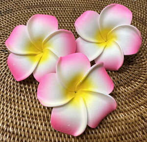 C7.5cmtWpj3ZbgsNyoEAWAG݃op_CXz