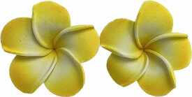フランジパニマグネットB級5cm2個セット黄【バリ・アジアン雑貨バリパラダイス】