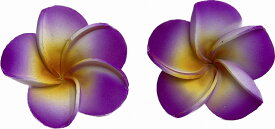 フランジパニマグネットB級5cm2個セット紫【バリ・アジアン雑貨バリパラダイス】