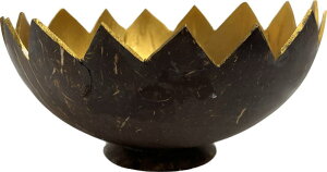 yAEgbgzVRRRibcgCGIZA@BS[hR[eBO@yoEAWAG݃op_CXz