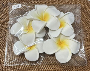 yAEgbgzCX|WtWpj6~6.5cm5Zbg@yoEAWAG݁@@op_CXz