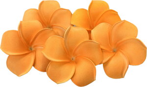 7.5cmtWpjIW5ZbgyoEAWAG݃op_CXz