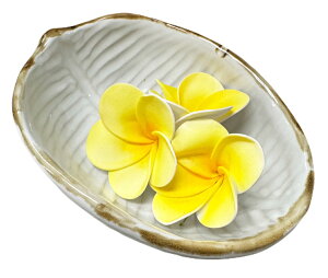 oii[t[^@zCg@LyoEAWAG݃op_CXz