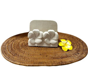 Xg[J[hz_[ _u tWpjyoAz t[ J[hX^h j[ J[h J[rO  ΍׍H Ntg IuWF Β oG AWAC