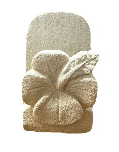 Xg[J[hz_[ VO nCrXJXyoAz t[ J[hX^h j[ J[h J[rO  ΍׍H Ntg IuWF Β oG AWAC