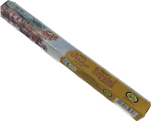 CYCLE CZXXeBbNmysoreSandali}C\[T_jyoEAWAG݃op_CXz