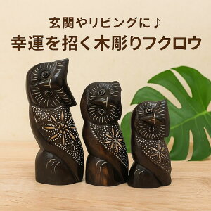 ӂ낤3CZbg Aj} tNE N sJ ؐ 蒤 ֏ IuWF u Zbg   _ GXjbN Ebh CeA v[g Mtgyo