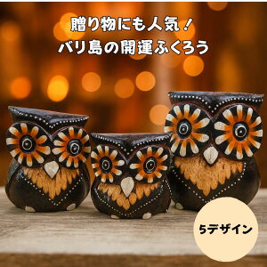 ӂ낤3CZbg Aj} tNE N sJ ؐ 蒤 ֏ IuWF u Zbg   _ GXjbN Ebh CeA v[g MtgyoEAWA