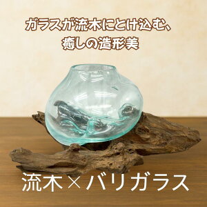 VR؁i؁jWOODKXIuWF VO fUCJyoAzoKX/KX/VR/Ebh/KXgC//fBXvC/Ԋ/Ԋ//t[x[X/nh