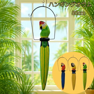 nMOIE80yoAzؒ IE Ǌ| ݂艺 CeA  nMO 썑 AWA o G gsJ Jt pbg IuWF i` ؐ yo