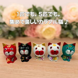 ܂ۃLbgL lR zCg  ubN  O[  bh   ܂܂ 킢 ق̂ڂ   fBXvC Aj} ؐ v[gyoEAWAG݃op_