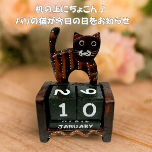 oLJ_[uElR Aj} NJ_[ J_[ TCR ߂ ւ 킢 Ng ؐ Ebh CeA v[g MtgyoEAWAG