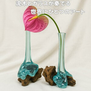 VR؁oKX ֍ KX ԕr ֑} t[x[X o AWAG i` CeA u  KXH| ][g  MtgyoEAWAG