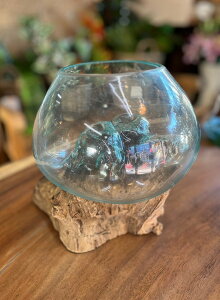 VR؁i؁jWOODKXIuWFVO@fUCDoKX/KX/KX/VR/WOOD/Ebh/KXgC/fBXvC/VR/Ԋ/Ԋ//t[x[X//nh