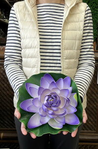 [^X X|W @̉ @ nX CeA ][g   ɕ Xp ׂ  oG  tFCNt[ ďyoEAWAG݃op_CX