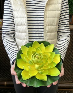 [^X ΃X|W @̉ @ nX CeA ][g   ɕ Xp ׂ  oG  tFCNt[ ďyoEAWAG݃op_C