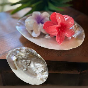 ^L(}yLjgC^L VF Lk CeAf p[ ICX^[p[ VF VFCeA VFfBXvC IuWFVF C̑f ][gG݁yoEAWAG