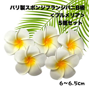 oX|WtWpjB 6cm 5Zbg yvAzyԁzyX|Wt[zyɕԉԁzyoXt[zynCAG݁zyt_Xzyr[`G݁zy썑C