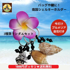 y1000~|bLIz ۂ ̓̃VFL[z_[3+܂tWpj̑ԃAWAG/̓/L[z_[/obO/VF/C/̓/Lk/gsJ/nCA/