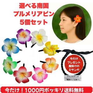 y1000~|bLIz ۂ5cmtWpjsDȐFI5Zbg+܂̃~TKvA/wAs/wAANZT[///WXg/1,000~yo