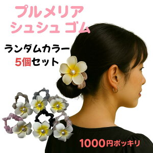 y1000~|bLIz ۂvAitWpjjVVS5Zbg킢 wAS wAANZT[  uXbg /WXg/1,000~yoEAWA