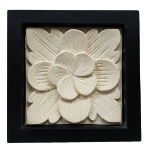 Xg[J[rOVvz25×25@tWpjtyoEAWAG݃op_CXz