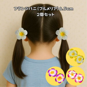 �t�����W�p�j(�v�������A�j �w�A�S��6.5cm~7cm 2�Z�b�g�y�o�������A���z�w�A�S�� �o���G�� �썑 �A�W�A�� �t���_���X �n���C ���]�[�g ������ ���� ������ �ăA�N�Z�T���[ ������ �t���y�o��