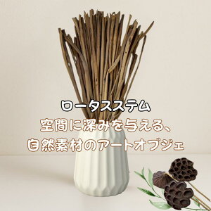 [^XXei@̌sj[^XXe @ [^X nX s hCt[ i`G {^jJfR t[AWf f JtF hCvc A[gvc 