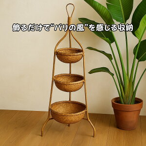 ***fBXvCJS3i ی^ 125^X^h ^   oXPbg [ ][gCeA fBXv  AWACeA A nhCh  Vv i`