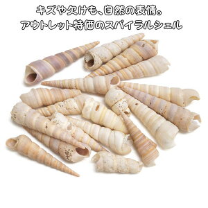 �y�󂠂�zC���i�`�������X�N�����[�V�F��100g�V�R�L�k �V�F���p�[�c �C���e���A�f�� �n���h���C�h�f�� �}�������� �f�R���[�V�����f�� �i�`�������G�� �K���X�x�[�X�p �g���C�����y�o���E