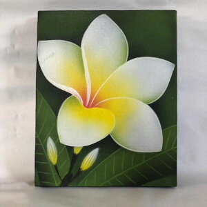 oA[g25x20zCg@@ws[o AWA G vA G ][g 썑 A[g]