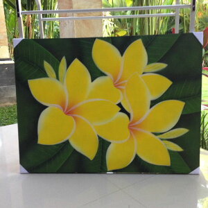 oA[g80x60CG[[,AWA,oG,vA,G,][g,T,Xp,X,oG]