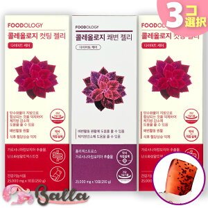 y3Izt[hIW[ RIW[ Jbg[[ / փ[[A 3(10x3) ؍ eyFOODOLOGYzyCOʔ́z