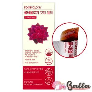 t[hIW[ RIW[ Jbg[[ 1(10) ؍ eyFOODOLOGYzyCOʔ́z