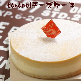 とりいさん家のCaramelチーズケーキ 4〜5人分 味わいのスイーツ ニューヨークチーズケーキ お取り寄せ ケーキ 誕生日 濃厚 お菓子 デザート キャラメル ホールケーキ パーティー バースデー 有名 ギフト サワークリーム 冷凍 ドゥーブルフロマージュ 子供