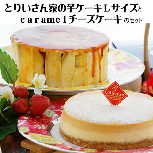 Ƃ肢Ƃ̈P[LLTCYcaramel`[YP[L XԐlC 񂹃O XC[c er  P[L a  a   v[g yM Cx