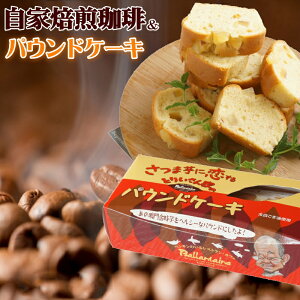 蓤 500g  Tc}CɗpEhP[L ܂ َq  XC[c  P[L a
