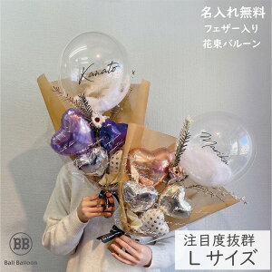 傫 LTCY55cm o[ ԑ  o[u[P tFU[  l \  a  Əj wj t[ Mtg \ CX^f Ӊ ސEj ̓ 