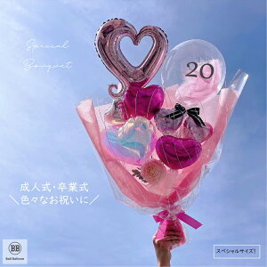 80cm XyVTCY o[ l Əj wj ԑ ꖳ o[tFU[u[P a Nj җ Ê  P Ď t[ Mtg CX^f 