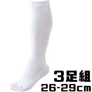 yZETT/[bgz 5{w 3P\bNX 3g\bNX A_[\bNX BK035O