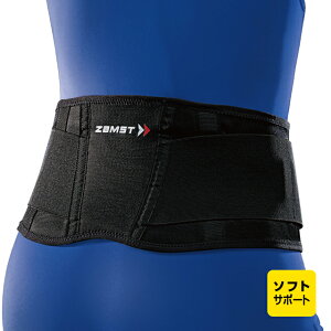 yUXgz pT|[^[ ZW-3 yZAMSTz 3833